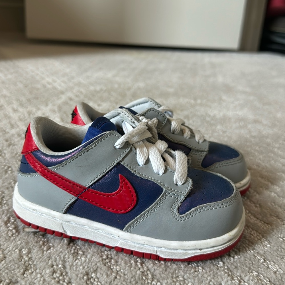 Dunks Toddler 7C
